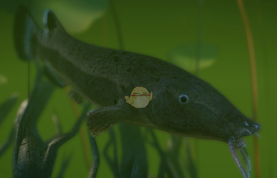 《动物园之星》新物种电鲶MOD